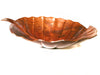 O'KEEFE  in Natural - VS029NA - Leaf Shape Vessel Bathroom Copper Sink - 18 x 15 x 5.5" - Thick Gauge 14